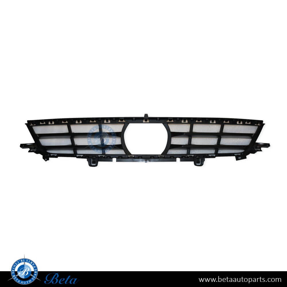 Front Bumper Lower Grille with ACC for BMW X5 G05 2019-2023 models, Part Number 51117421805 Front Bumper Lower Grille with ACC for BMW X5 G05 2019-2023 models, Part Number 51117421805